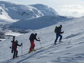 Гостиница Lapphaugen Turiststasjon  Тенневоллен